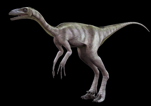 Troodon a carnivore was an ancestor to modern birds
