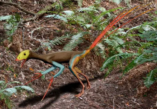 What the Epidexipteryx may have looked like