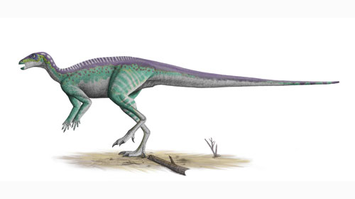 Parksosaurus2 Parksosaurus