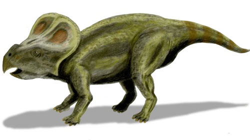 A artist impression of a Protoceratops