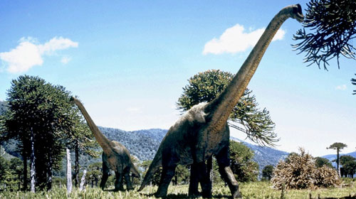 Brachiosaurus'