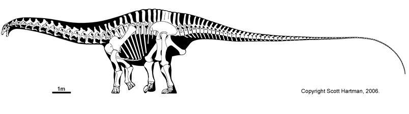 bronto2 Brontosaurus