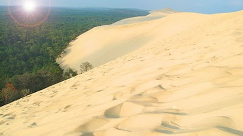 The Great Dune of Pyla