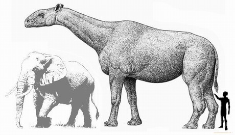 Image showing the size relation of Indricotherium, an elephant and a man