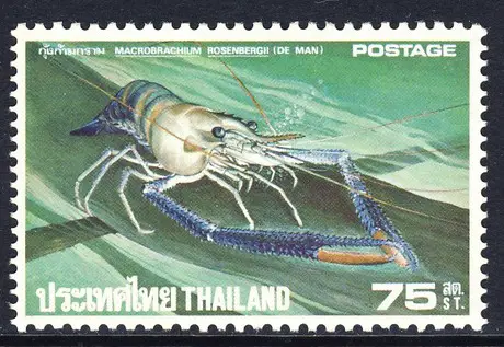 The Macrobrachium Rosenbergii is so important, it made it onto a stamp!
