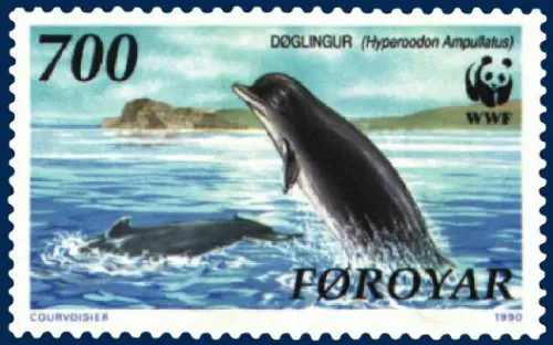 Faroe stamp 200 Hyperoodon ampullatus e1278063617357 Bottlenose Whale