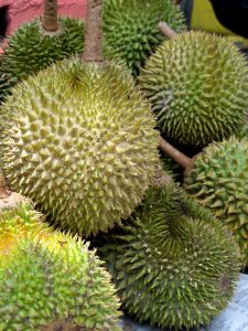 durian Durian
