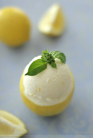 Lemon basil sherbet