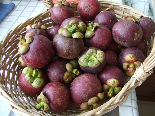 mangosteen bowl Purple Mangosteen