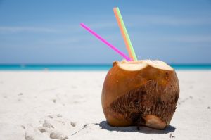 Fancy a coconut on the beach?