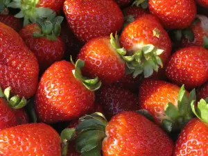 Lovely red strawberries