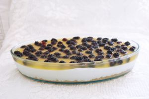 547174 blackberries cheese cake Blackberry