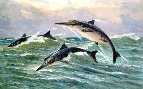 A painting of the Ichthyosaur by H. Harder