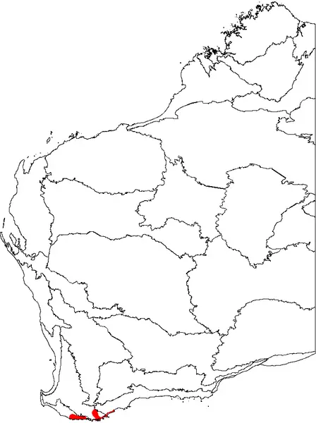 Banksia verticillata map Albany Banksia