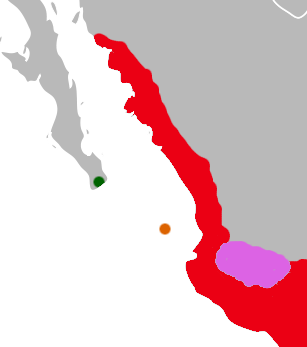 Oryzomys distribution W Mexico Lower California Rice Rat