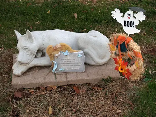 A pet cemetery (not in the Derbyshire)