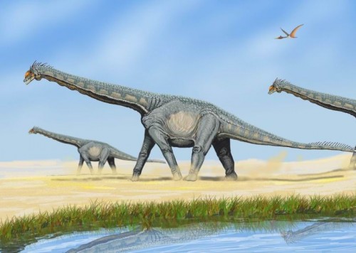 Alamosaurus sanjuanensis e1300253330271 Did Dinosaurs Become Extinct 65.5 Million Years Ago?