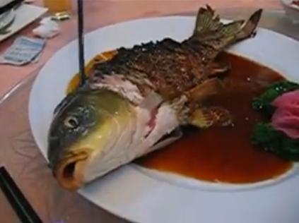 Ying Yang Fish 10 Bizarre Foods that Involve Eating Live Animals