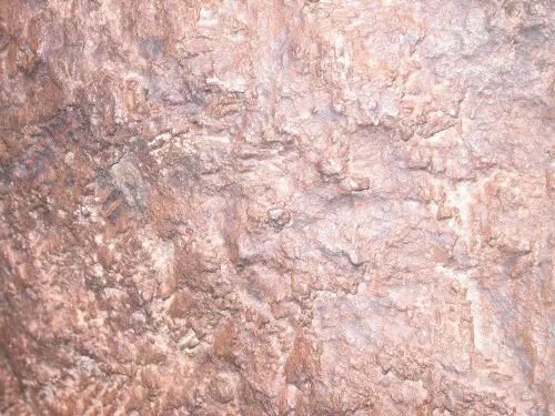 meteorite close up e1299737804475 Aliens Began Life on Earth