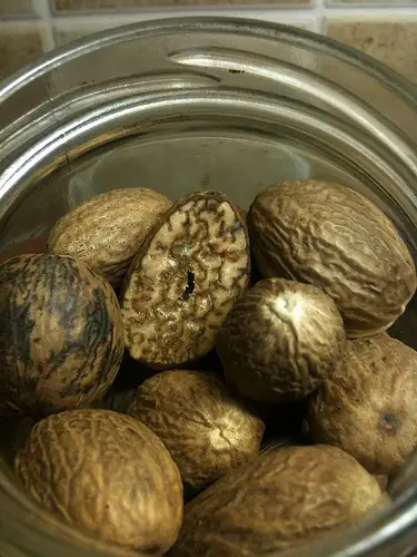 nutmeg 10 Natural Plants That Can Get You High