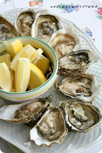 oysters1 10 Bizarre Foods that Involve Eating Live Animals