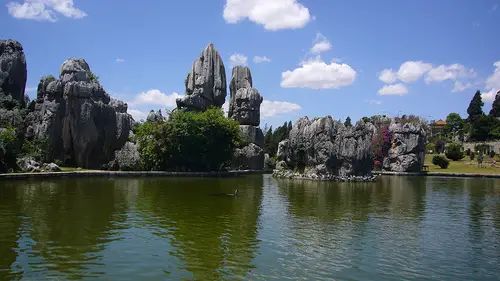 stone forest 10 of the Worlds Most Amazing Geological Wonders